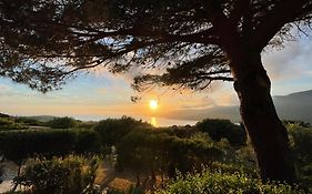 Résidence île de beauté